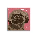 canvas-(in)-6x6-wall-66aff39baa57f.webp