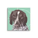 canvas-(in)-6x6-wall-66aff2821ee2e.webp